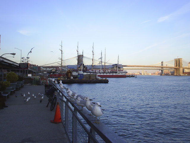 Южный морской порт и Бруклинский мост позади  